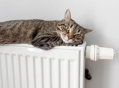 © Sergei Malkov - StockAdobe